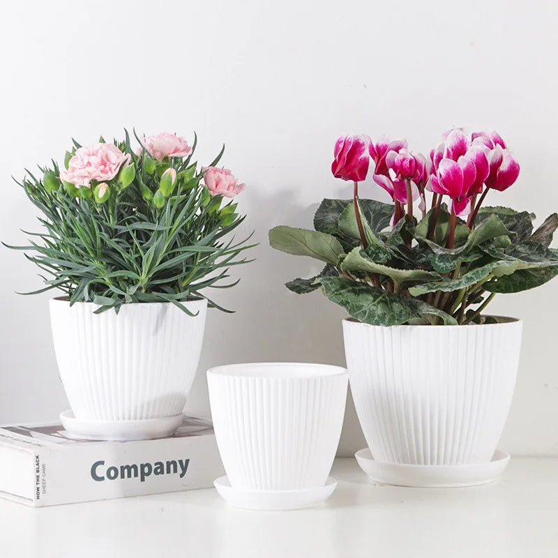Round Succulent Planter Pots with Tray – Modern Indoor & Outdoor Plant Pots (5 Sizes)