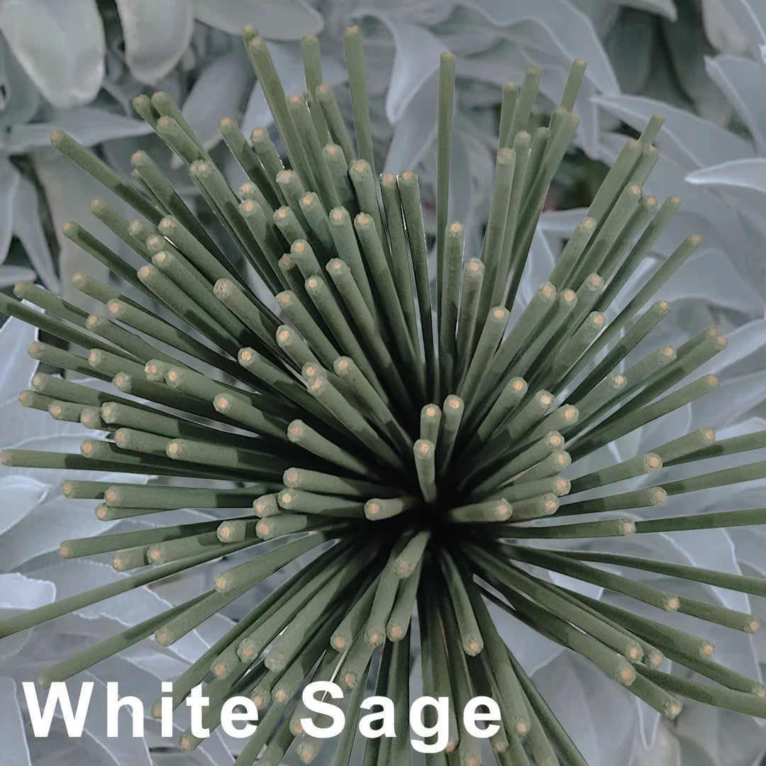 Outdoor Incense Coils – White Sage, Lavender & Mint Aromatherapy for Patio & Garden
