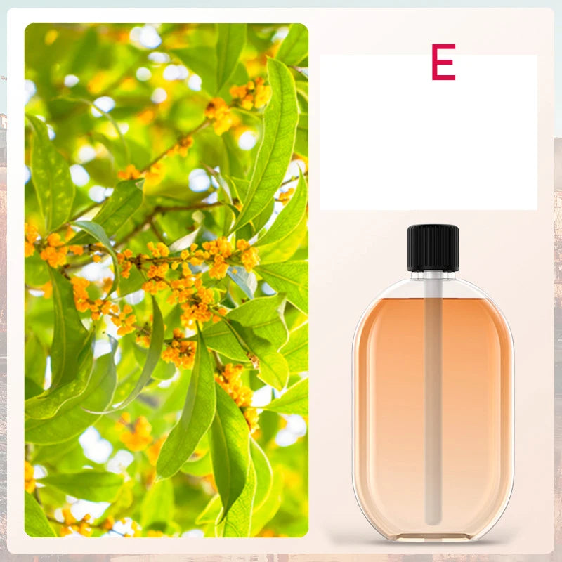 Automatic Essential Oil Diffuser – USB Spray Aroma Humidifier with LED Light
